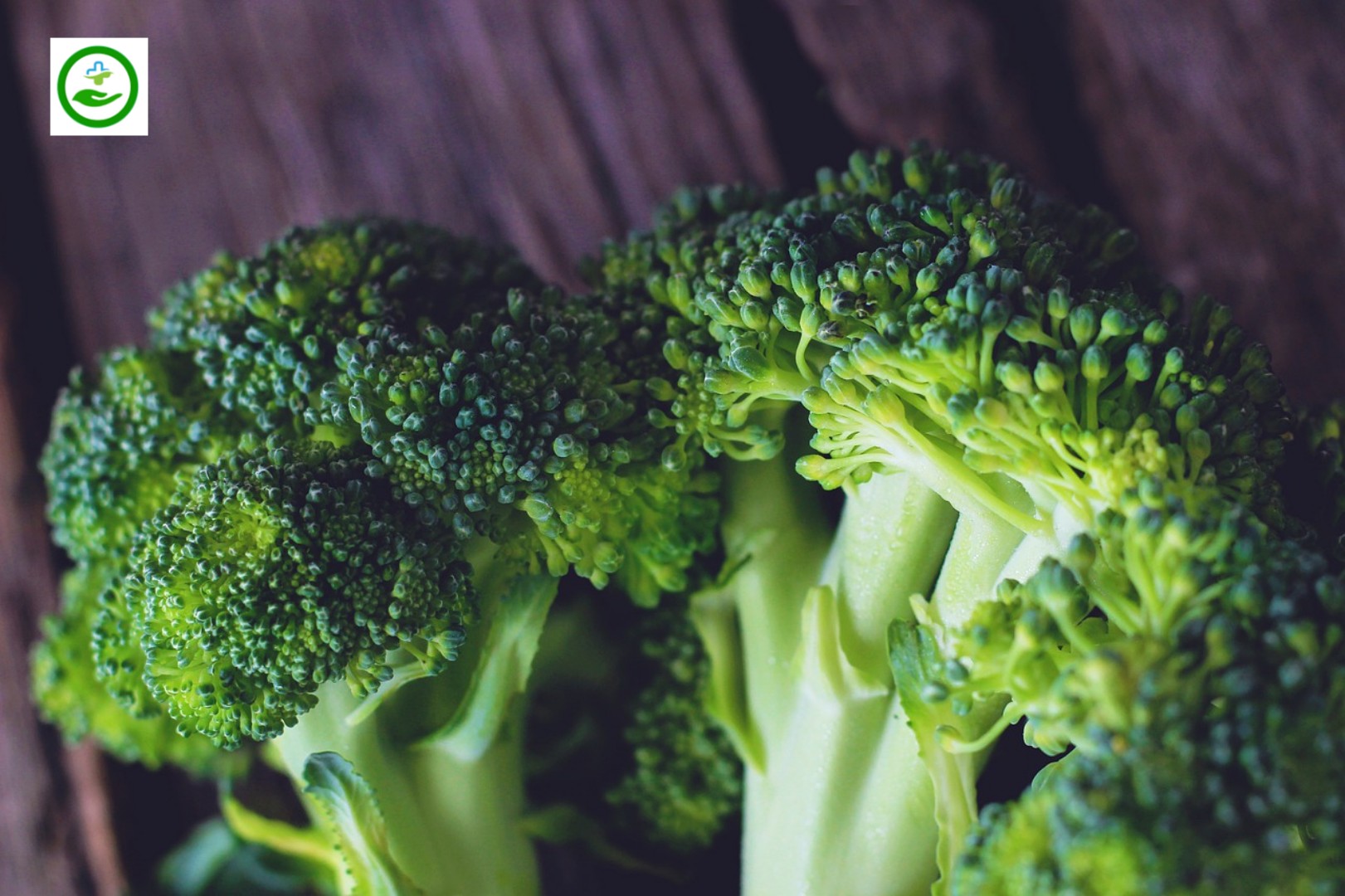 Broccoli protein rich foods