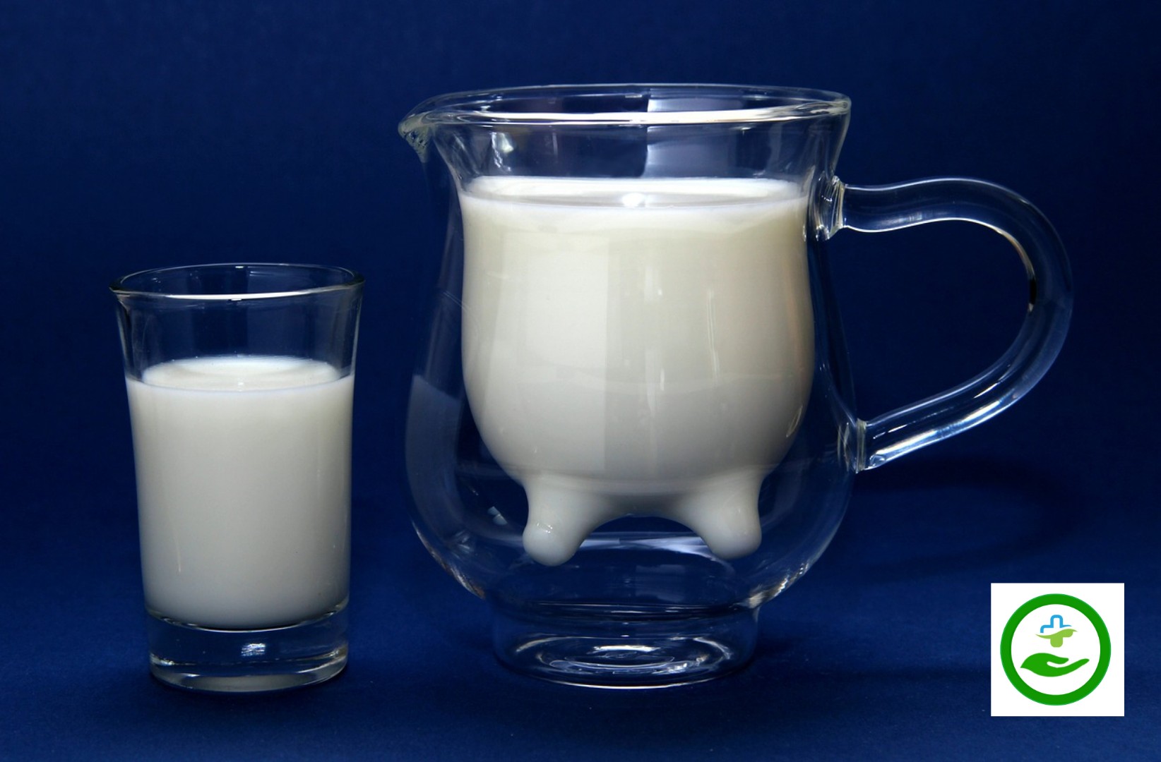 Milk protein rich foods