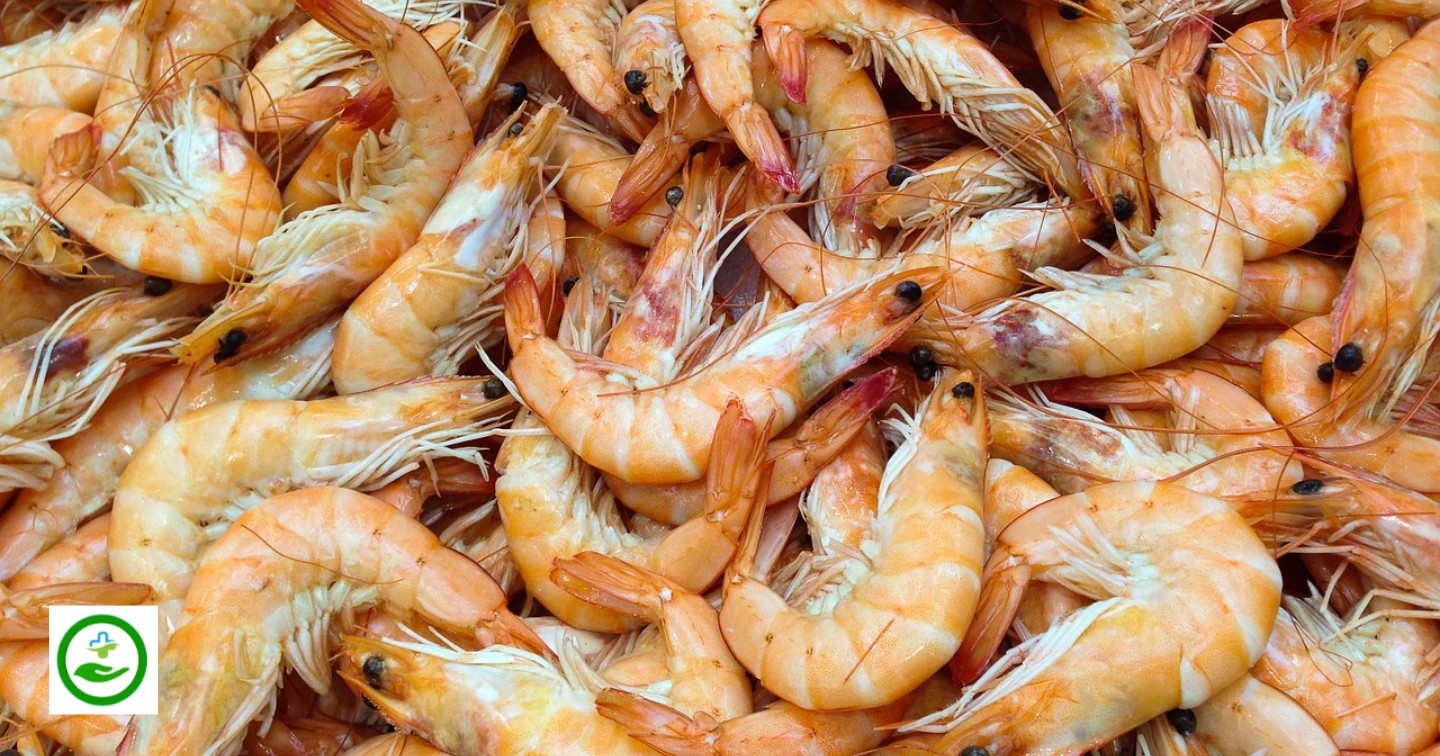 Shrimp What is Protein & Function of Protein? Protein Rich Foods & High Protein food