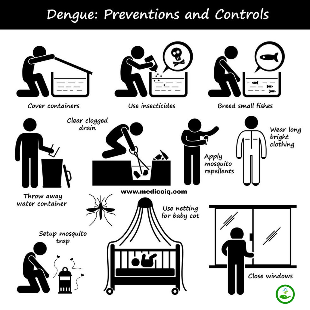 Dengue fever -Symptoms, Treatment, Causes & Home Remedies