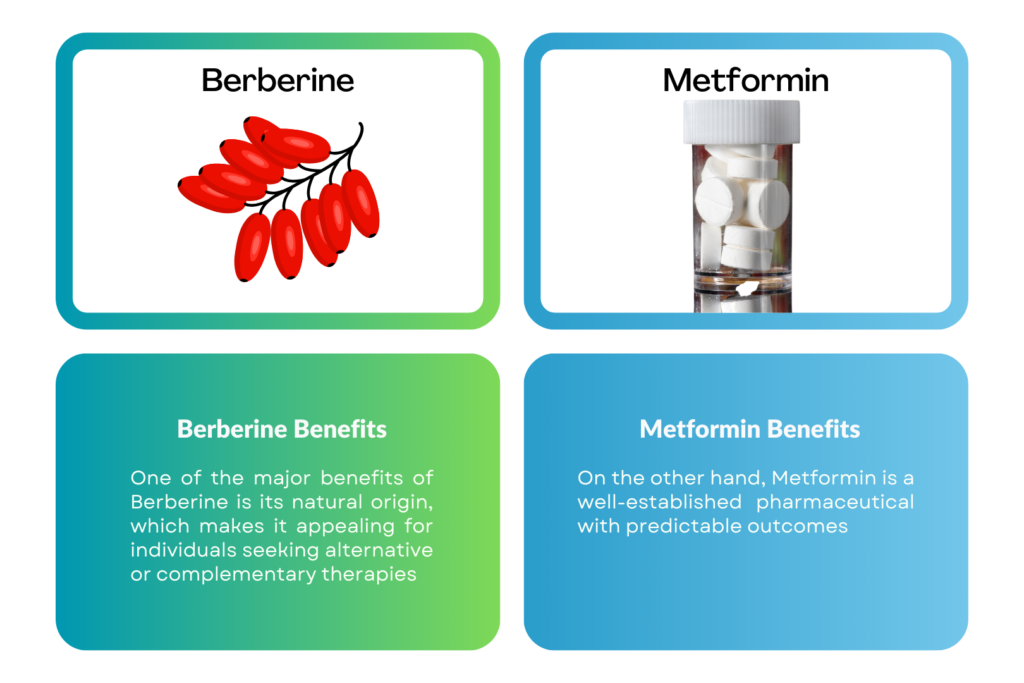 Berberine vs Metformin Berberine vs Metformin: Key Differences You Should Know