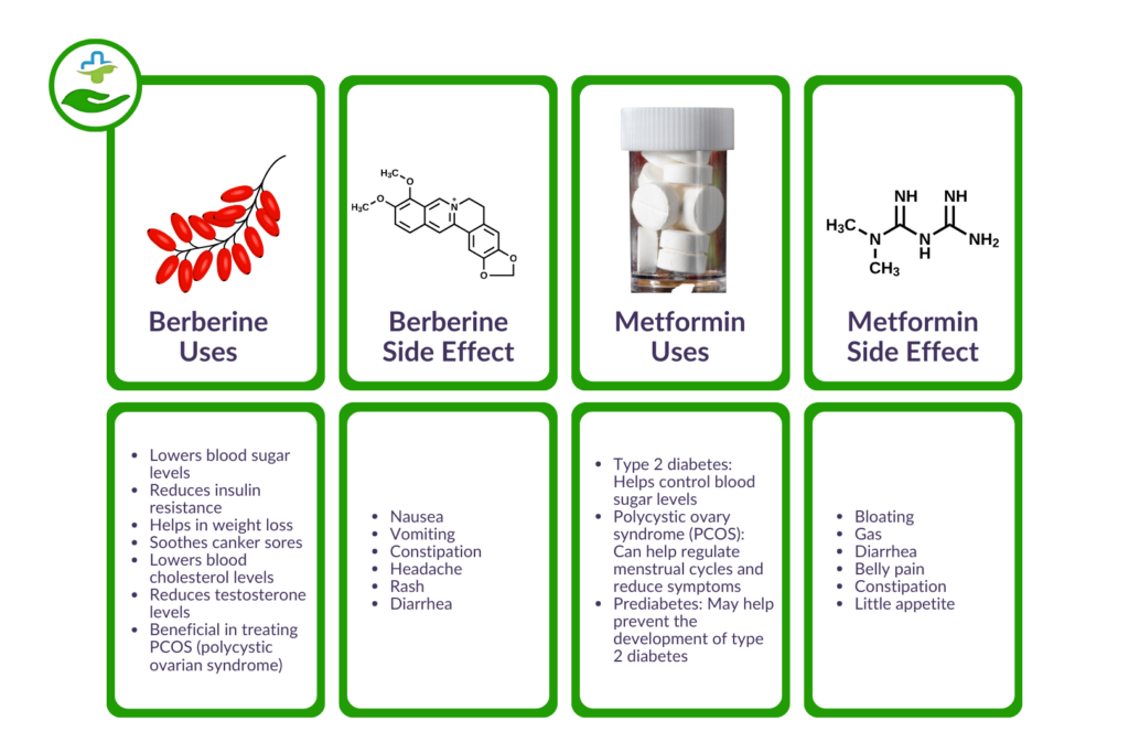 Safety and Side Effects Berberine vs Metformin: Key Differences You Should Know