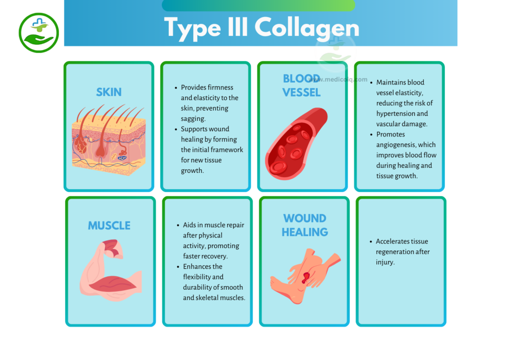 type-collagen