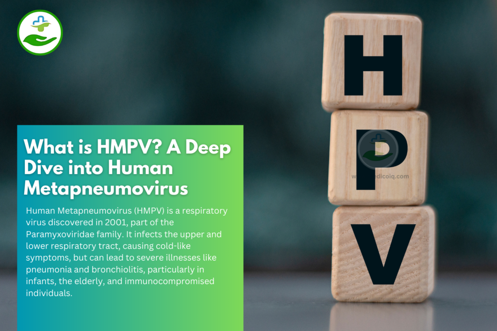 What is HMPV? A Deep Dive into Human Metapneumovirus