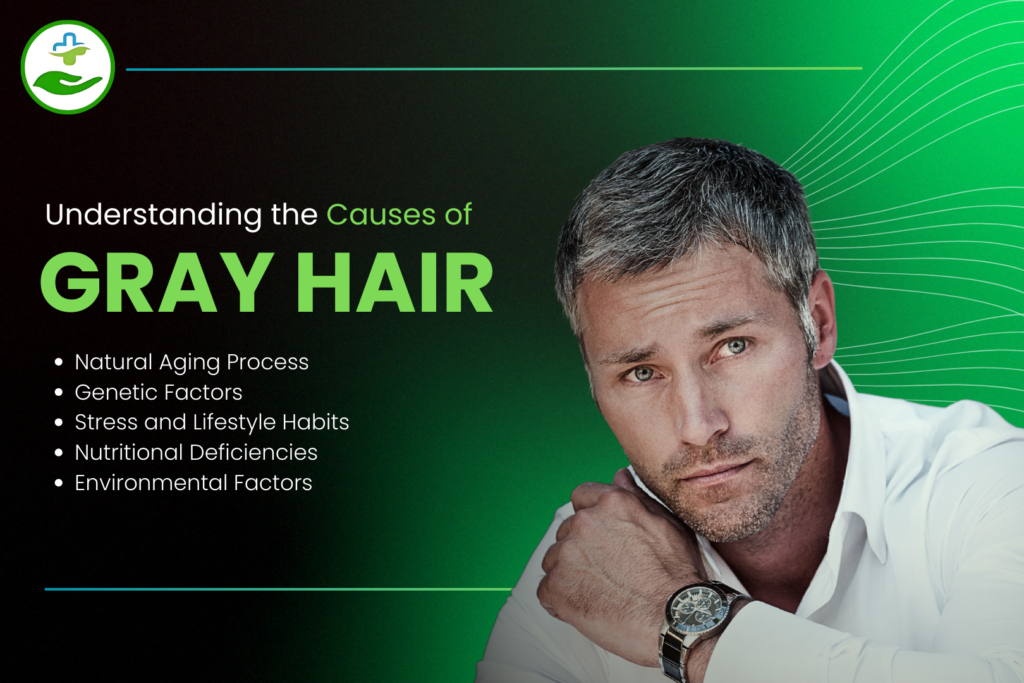 Effective Tips on How to Prevent Gray Hair Naturally Understanding the Causes of Gray Hair