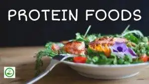 Read more about the article Top 15 Protein Rich Foods for a Healthy Diet