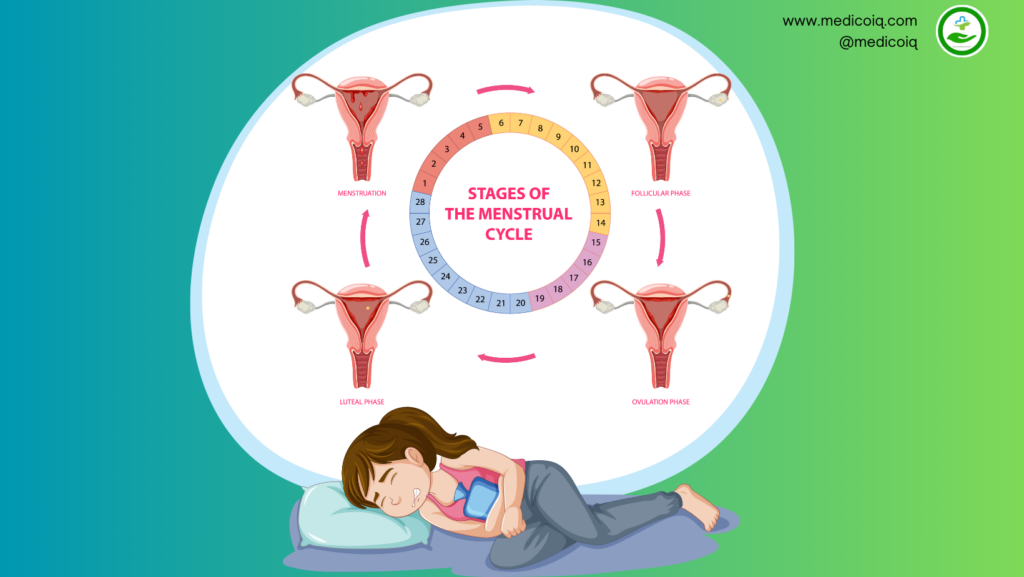 Importance of 4 Phases of Menstrual Cycle 