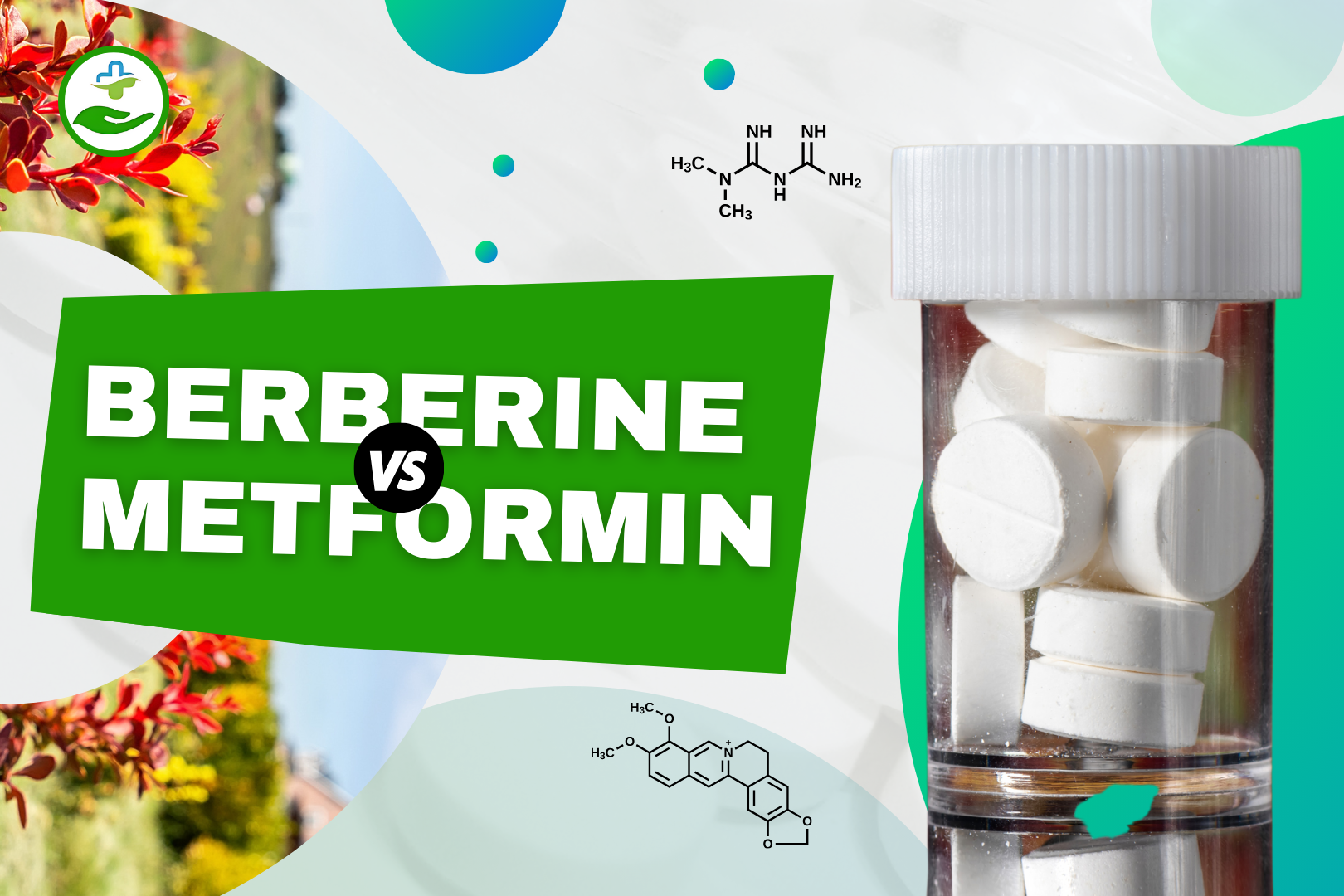 Read more about the article Berberine vs Metformin: Key Differences You Should Know