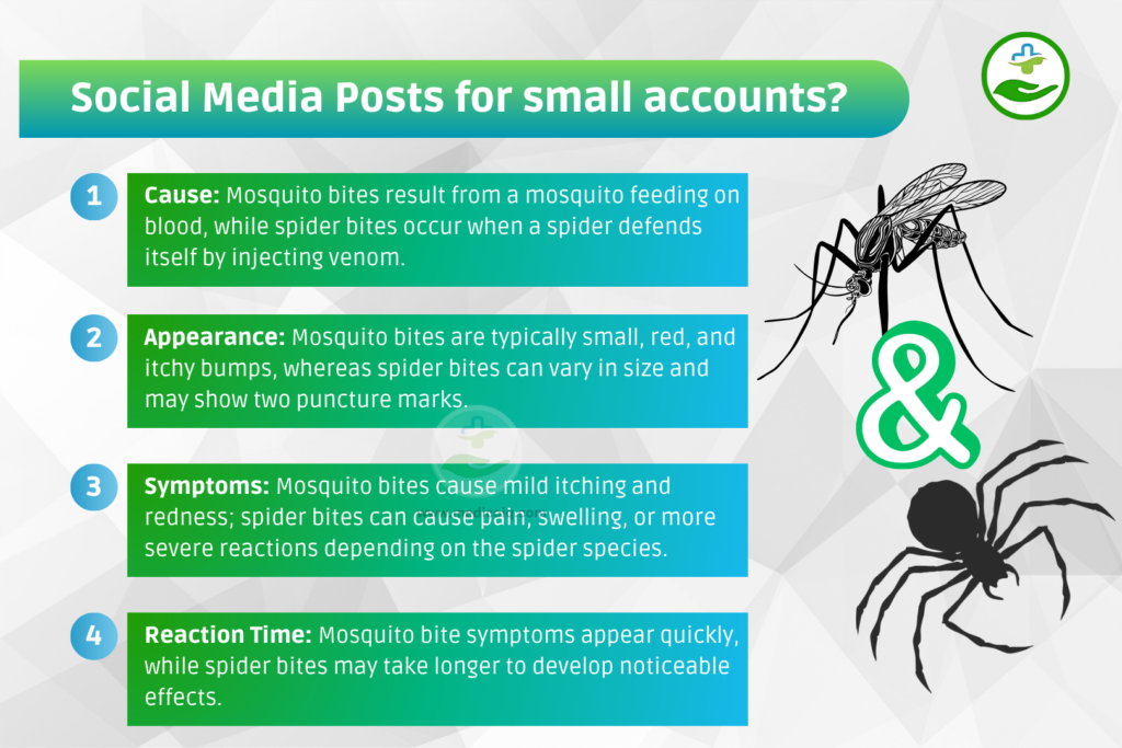 How Do Mosquito Bites Differ From Spider Bites?