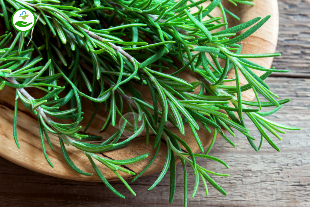 How to Use Rosemary Water for Hair Growth