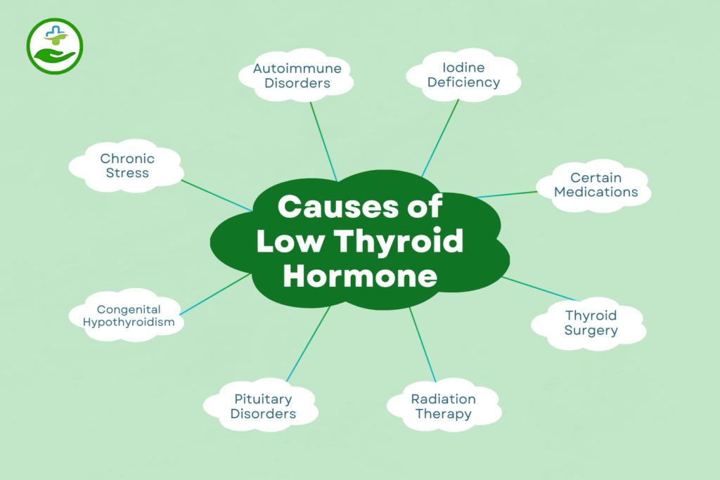 Common Causes of Hypothyroidism