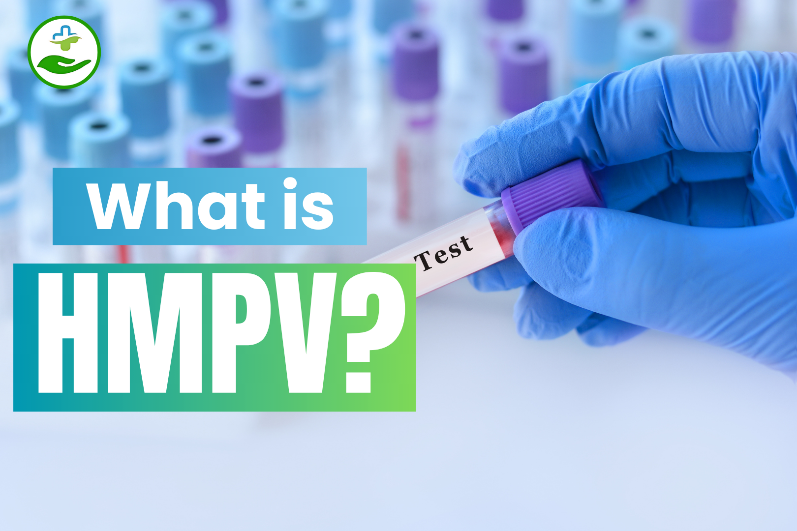 Read more about the article What is HMPV: Symptoms, Causes, and Prevention Explained