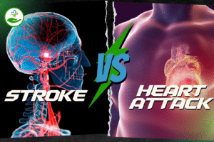 Read more about the article Stroke vs Heart Attack: Key Differences, Symptoms, and Prevention Tips