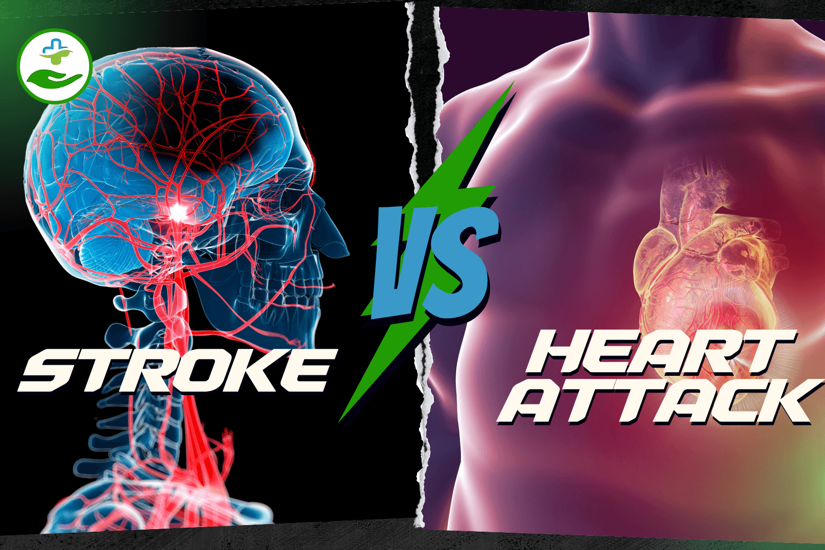 Read more about the article Stroke vs Heart Attack: Key Differences, Symptoms, and Prevention Tips