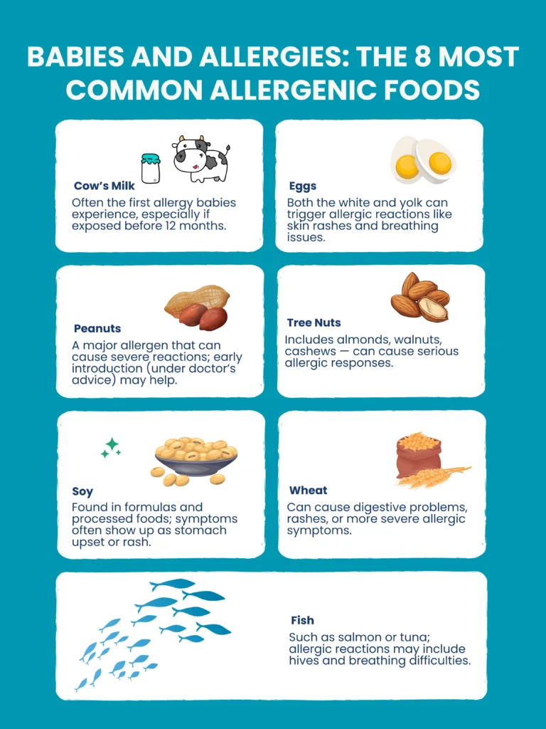 Babies and Allergies: The 8 Most Common Allergenic Foods