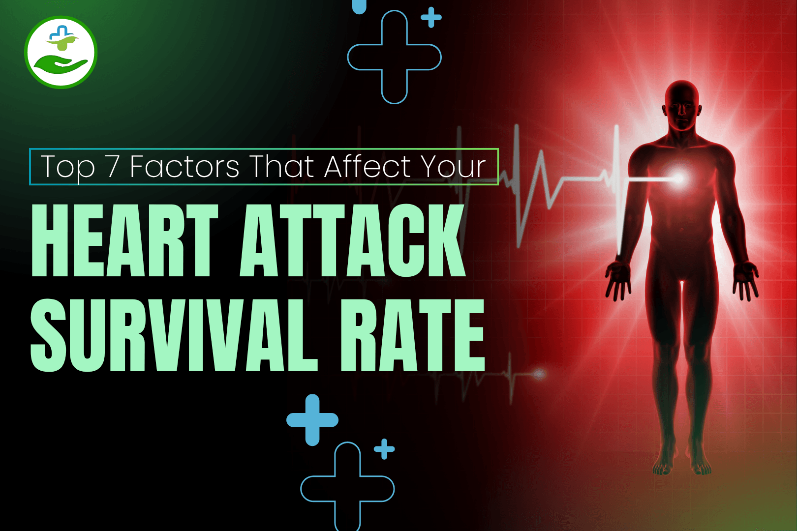 Read more about the article Heart Attack Survival Rate: Top 7 Factors That Affect