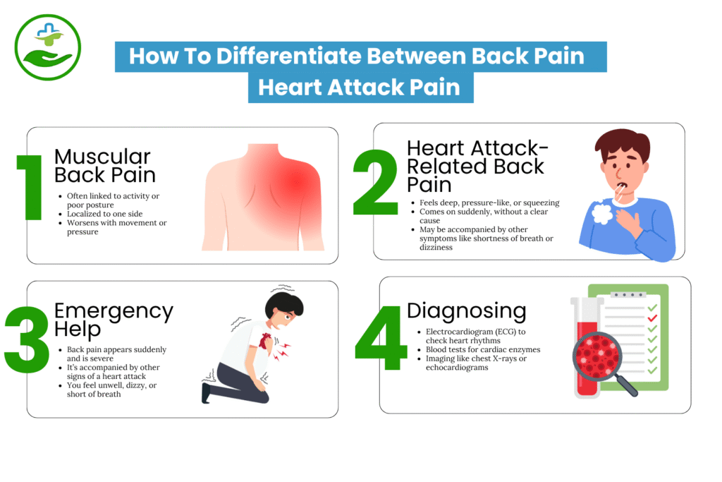 Back Pain Heart Attack? Know the Warning Signs How To Differentiate Between Back Pain Heart Attack Pain