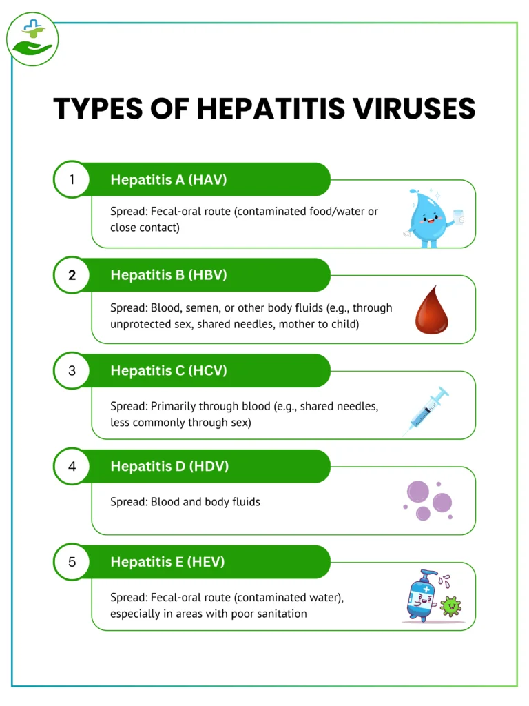 Hepatitis A Virus Vaccine: Complete Protection Guide Types of Hepatitis Viruses