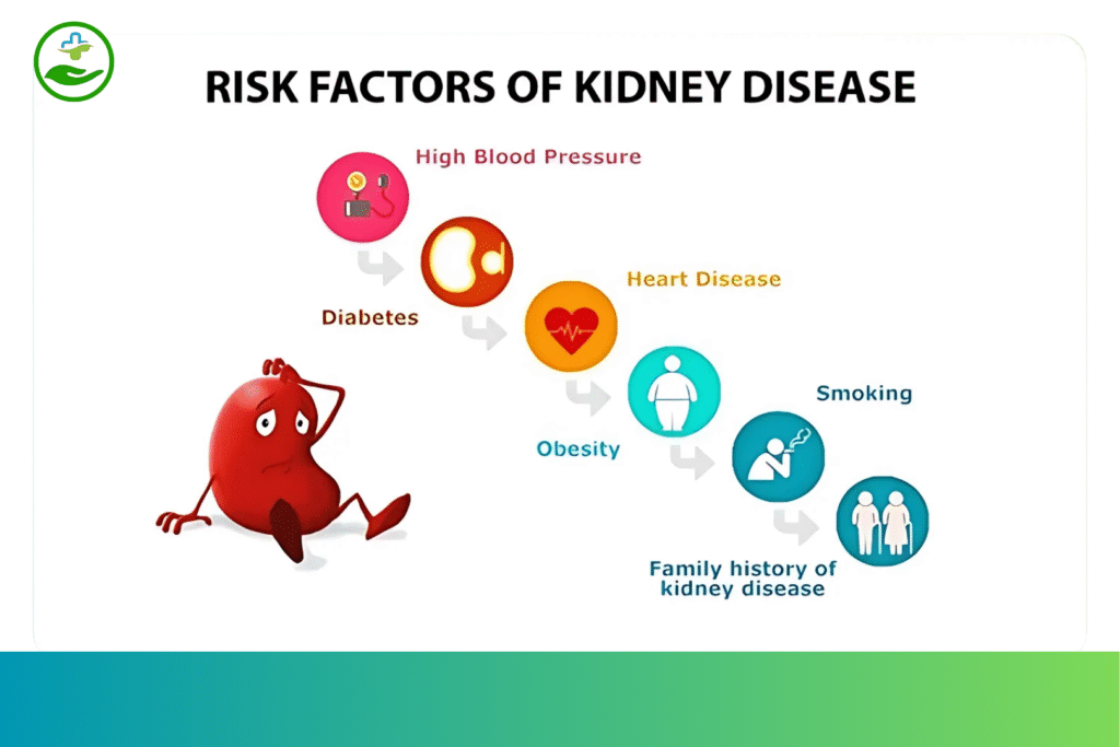 amoxicillin-for-kidney-infections