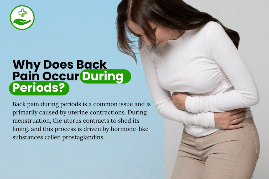 treatment-of-back-pain-during-periods