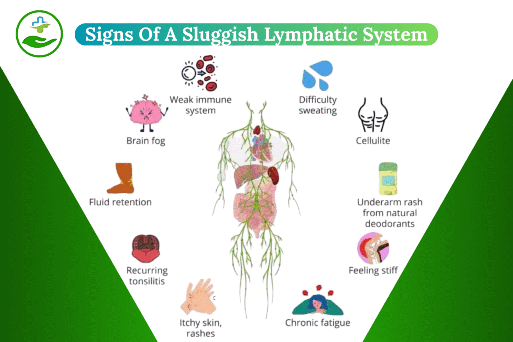 yoga-for-lymphatic-drainage