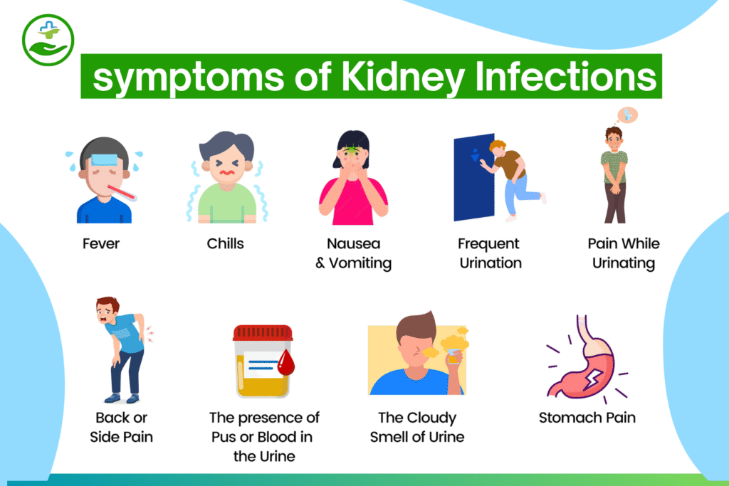 amoxicillin-for-kidney-infections
