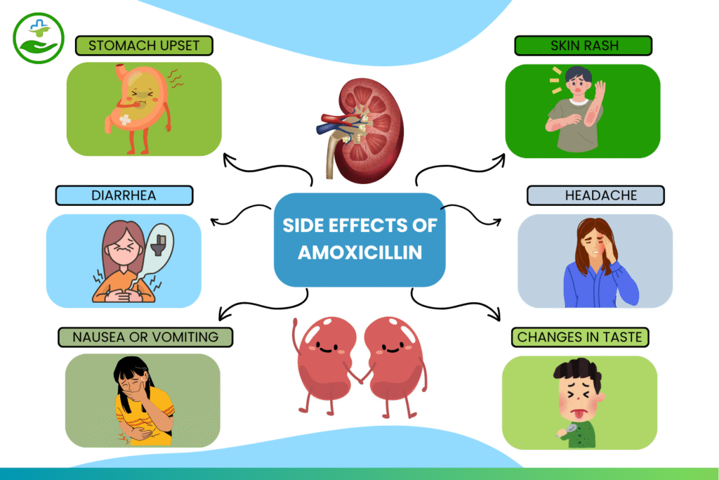 amoxicillin-for-kidney-infections