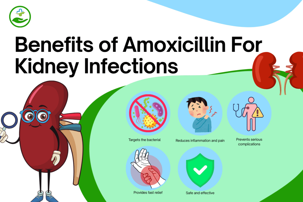 amoxicillin-for-kidney-infections