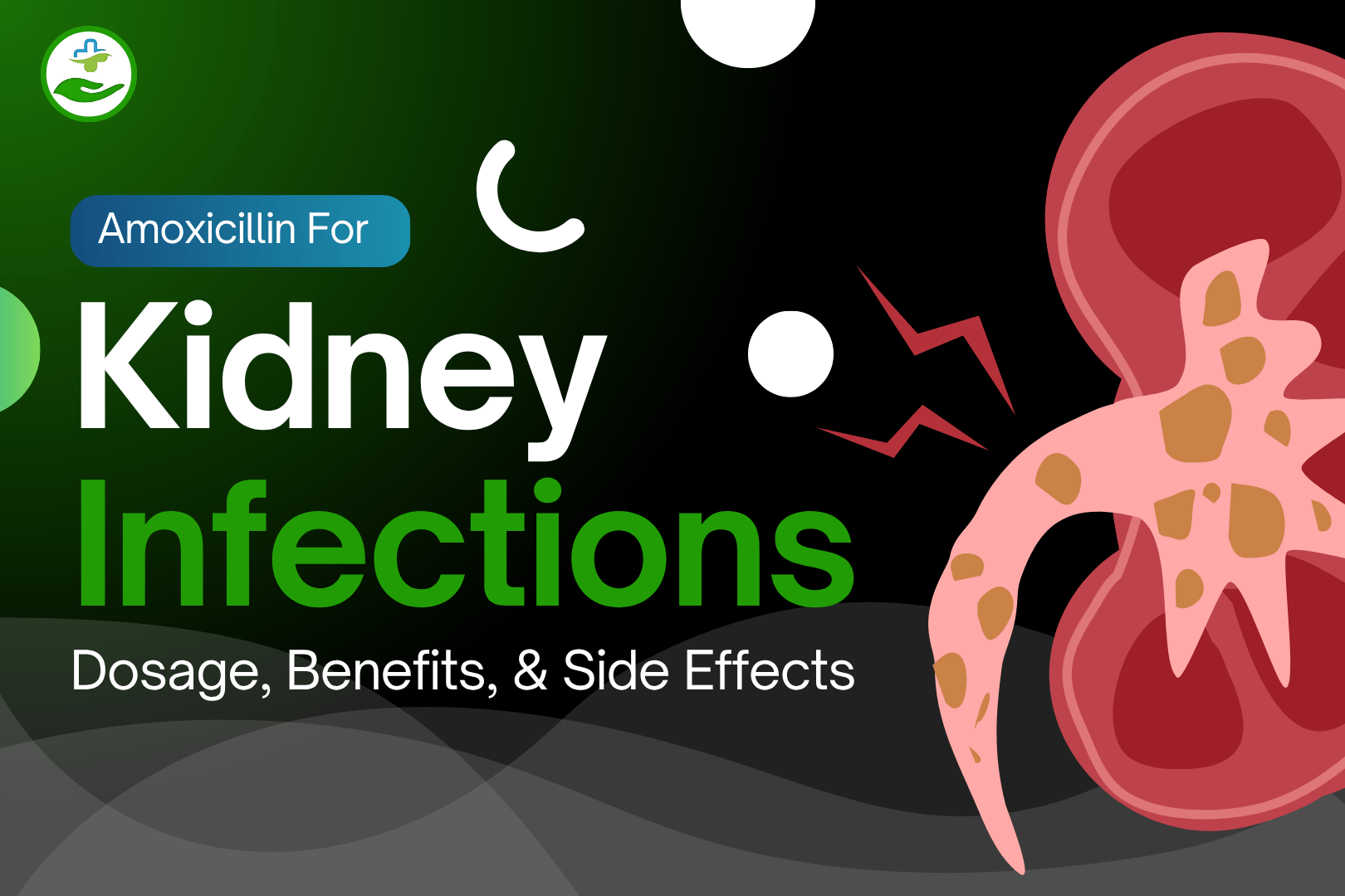 Read more about the article Amoxicillin For Kidney Infections: Dosage, Benefits, & Side Effects