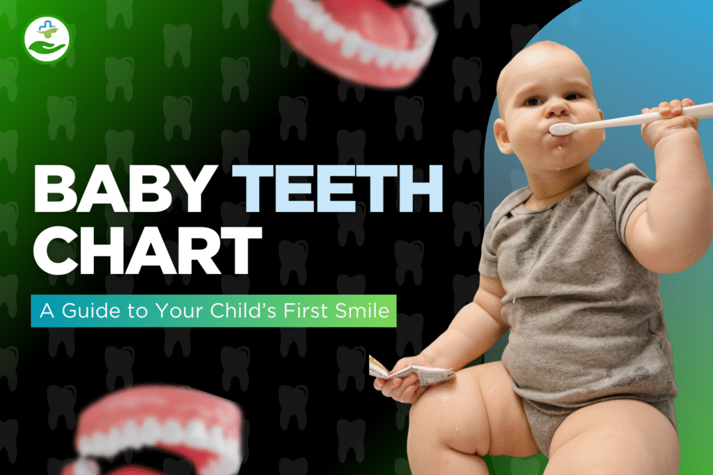 baby-teeth-chart