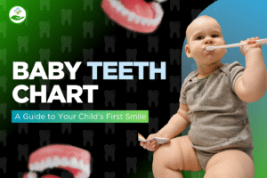 Read more about the article Baby Teeth Chart: A Guide to Your Child’s First Smile
