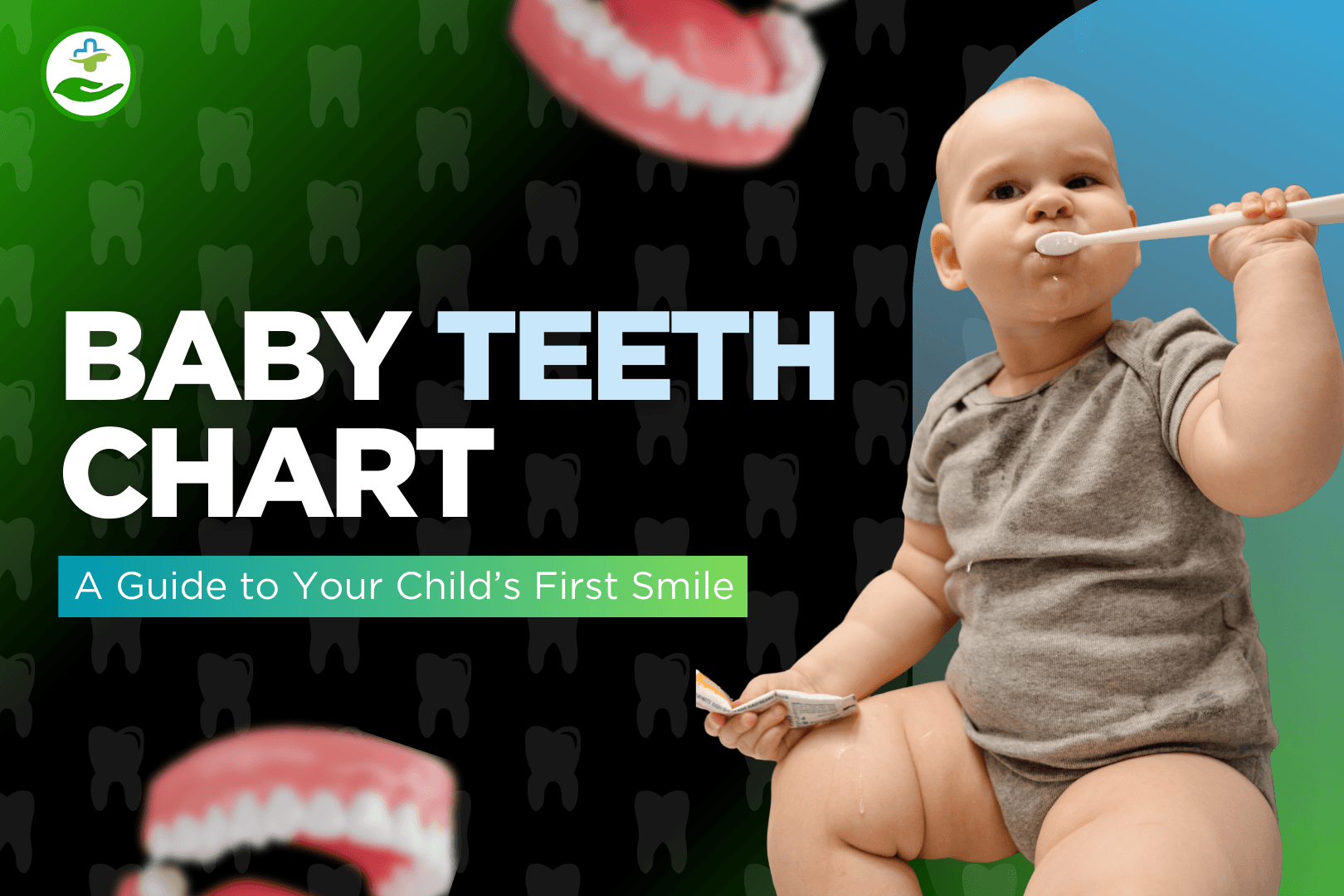 Read more about the article Baby Teeth Chart: A Guide to Your Child’s First Smile