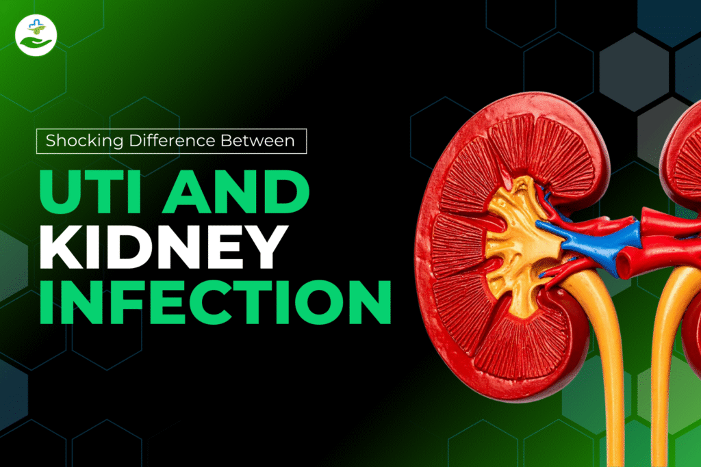 difference-between-uti-and-kidney-infection