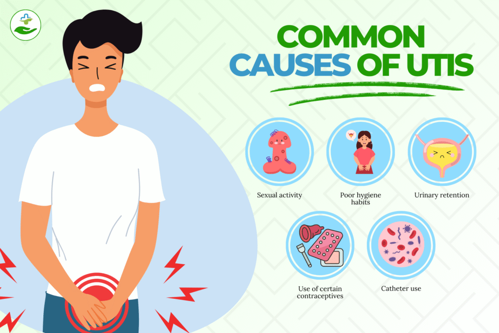 difference-between-uti-and-kidney-infection