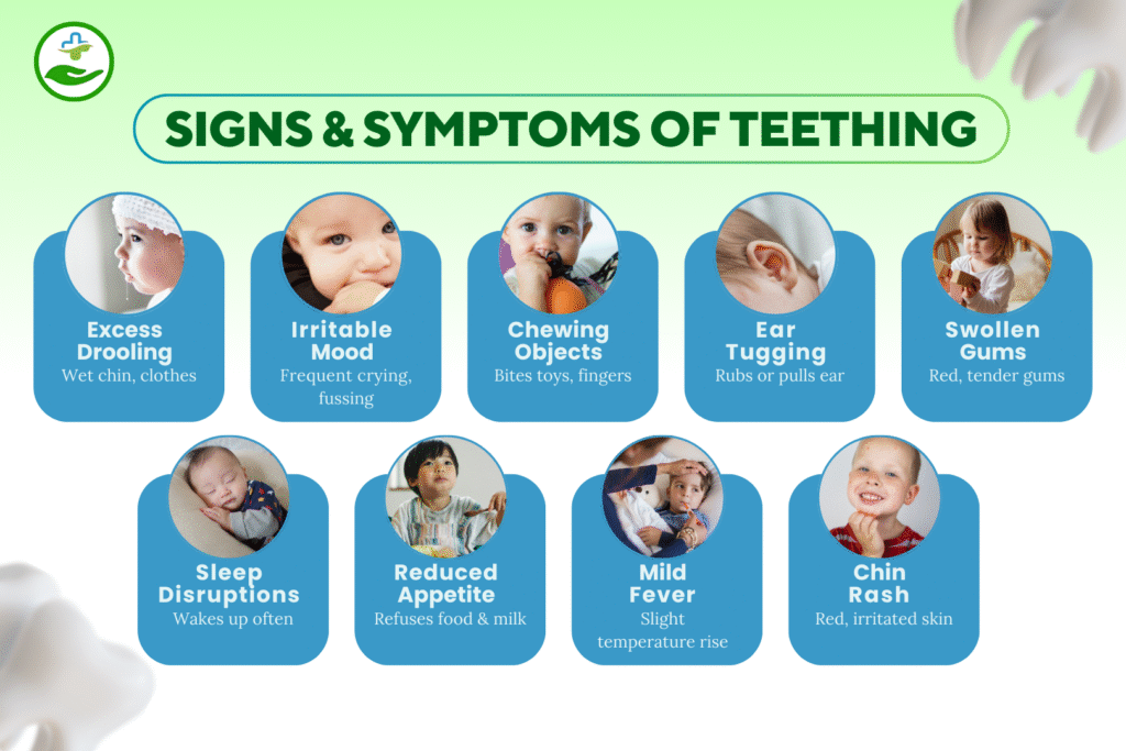baby-teeth-chart