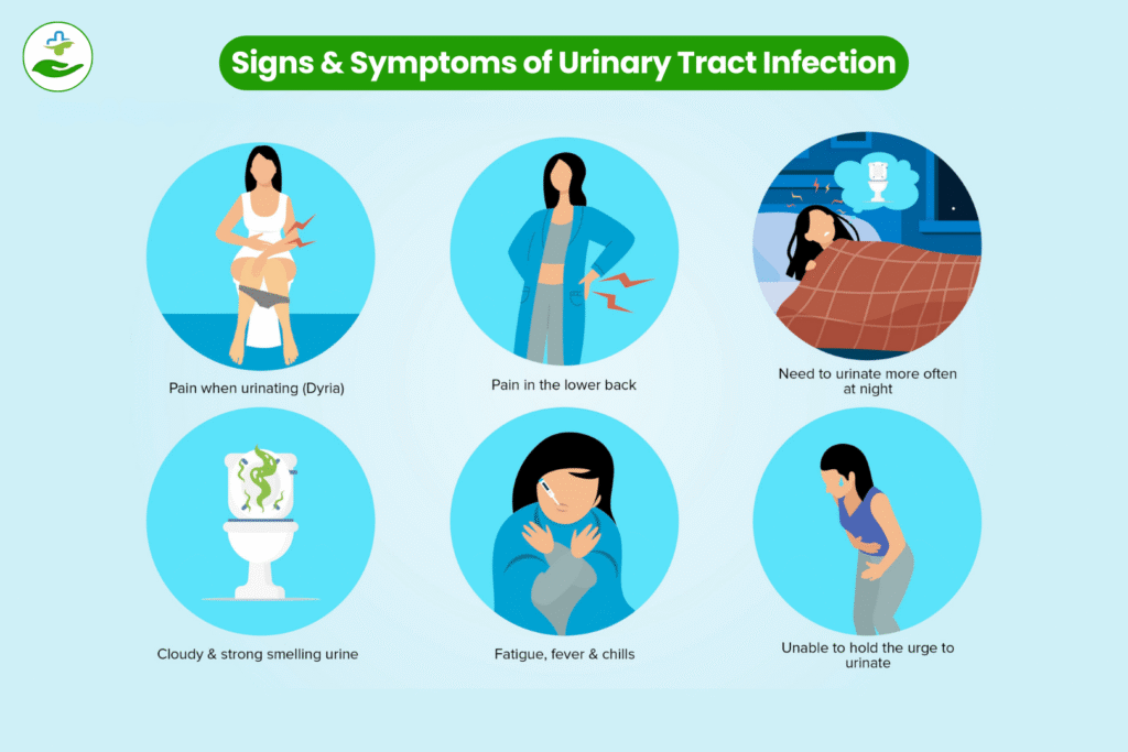 difference-between-uti-and-kidney-infection