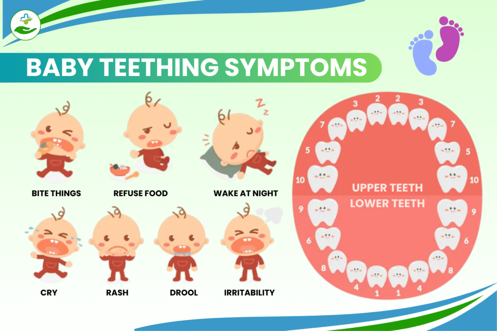 BABY TEETHING SYMPTOMS