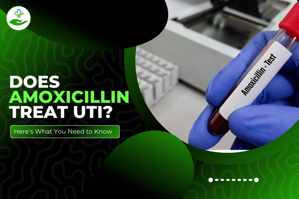 Does Amoxicillin Treat UTI