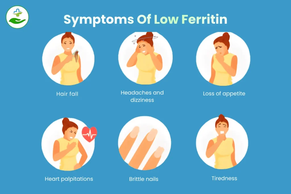 How to Increase Ferritin: