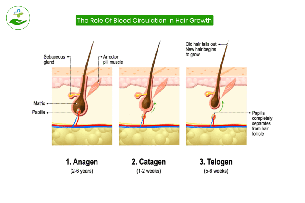  Yoga for Hair Growth